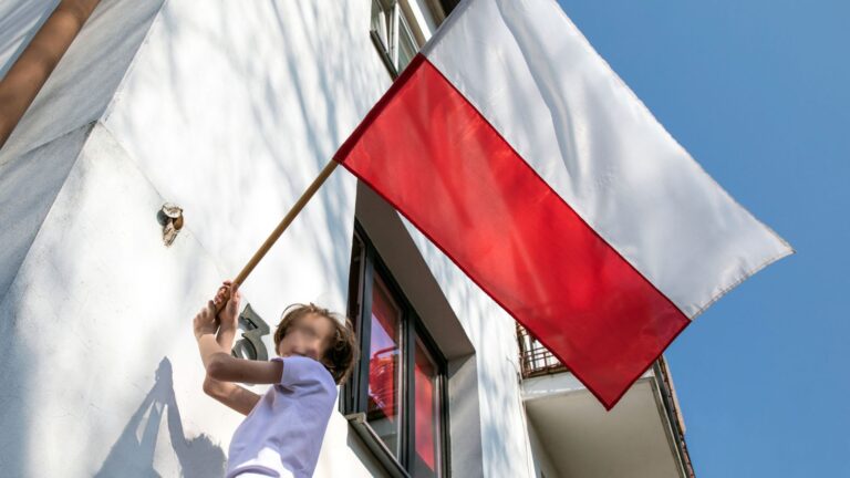 Projekt bez nazwy